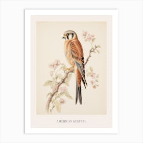 Vintage Bird Drawing American Kestrel 2 Poster Art Print