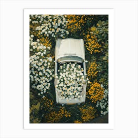 Daisy Car Art Print