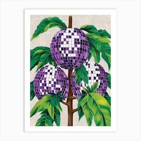 Purple Pomegranate Art Print