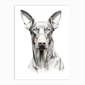 Doberman Pinscher Dog, Line Drawing 1 Art Print