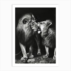 Barbary Lion Charcoal Drawing Rituals 1 Art Print