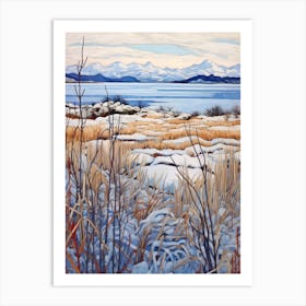 Nahuel Huapi National Park Argentina 3 Art Print