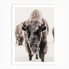 Snowy Winter Bison Art Print