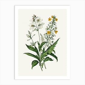 Vintage Botanical Galleria Style Wildflower Painting 26 Art Print