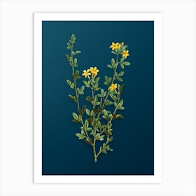 Vintage Yellow Jasmine Flowers Botanical Art on Teal Blue n.0525 Art Print