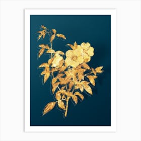 Vintage White Rose of Snow Botanical in Gold on Teal Blue n.0257 Art Print