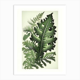 Ruffled Fern 1 Vintage Botanical Poster Art Print