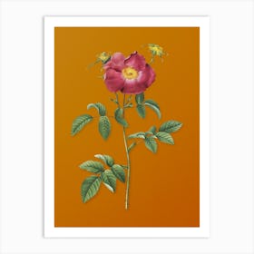Vintage Stapelia Rose Bloom Botanical on Sunset Orange n.0761 Art Print