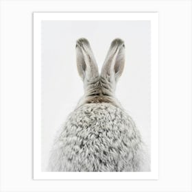 Rabbit Hare Art Print