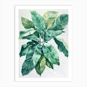 Banana Leaf 1 Art Print