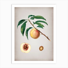 Vintage White Speckled Peach Botanical on Parchment n.0049 Art Print