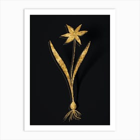 Vintage Tulipa Celsiana Botanical in Gold on Black Art Print