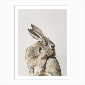Coy Bunny Art Print