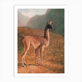 Llama Scenery Art Print