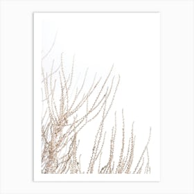 Beach Grass Texture II Art Print