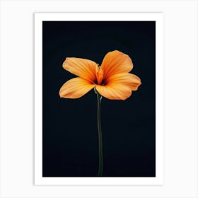 Single Orange Flower 5 Art Print