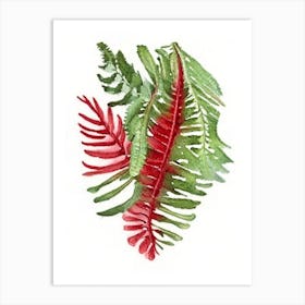 Christmas Fern Wildflower Watercolour 2 Art Print