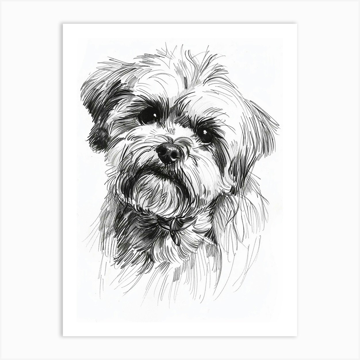 Sketched Dogs on White - 1 metre Sketched Dogs on White - 1 metre