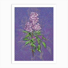 Vintage Persian Lilac Botanical Illustration on Veri Peri n.0266 Art Print