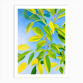 Croton Bold Graphic Art Print