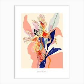 Colourful Flower Illustration Poster Bergamot 3 Art Print