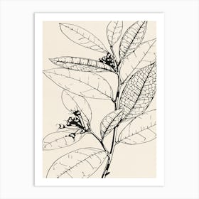 Leaf On A Branch Art Print