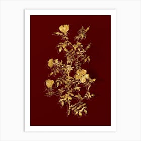 Vintage Hedge Rose Botanical in Gold on Red n.0556 Art Print