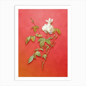 Vintage White Bengal Rose Botanical Art on Fiery Red n.0897 Art Print