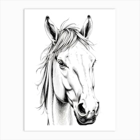 Horse Head 2 Art Print