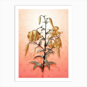 Tiger Lily Vintage Botanical in Peach Fuzz Asanoha Star Pattern n.0321 Art Print