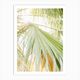 Palm Trees Art Print