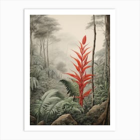 Vintage Jungle Botanical Illustration Heliconia 3 Art Print
