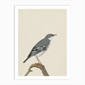 Mockingbird Illustration Bird Art Print