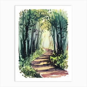 Watercolor Path In The Woods 3 Art Print