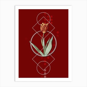 Vintage Tulip Botanical with Geometric Line Motif and Dot Pattern n.0352 Art Print