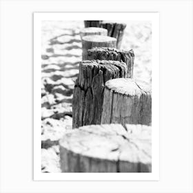 Row of Dutch pile heads on the beach // Travel Photography Poster