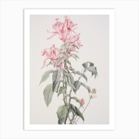 Vintage Flower Drawing Art Print