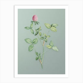Vintage Pink Clover Botanical Art on Mint Green n.0771 Art Print