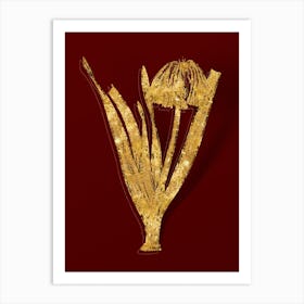 Vintage Knysna Lily Botanical in Gold on Red n.0344 Art Print