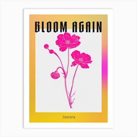 Hot Pink Cineraria 2 Poster Art Print