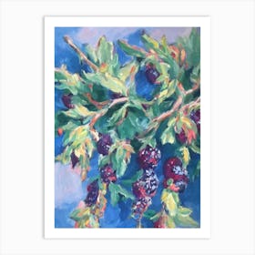 Marionberry 2 Classic Fruit Art Print