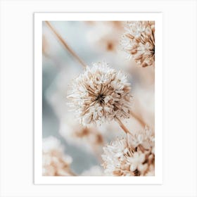 White Flowers Art Print