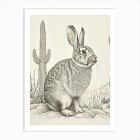 American Fuzzy Rabbit Drawing 4 Art Print