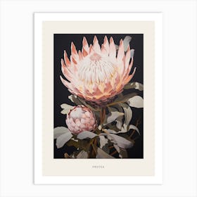 Flower Illustration Protea 11 Poster Art Print