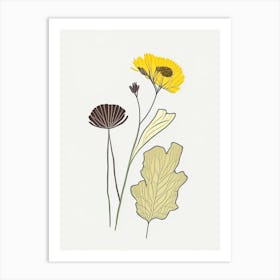 Coltsfoot Spices And Herbs Minimal Line Drawing 1 Art Print