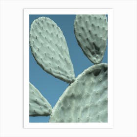 Cactus Paw Art Print