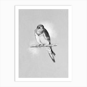 Feathered Friend No 745 by Aga Szafranska Art Print