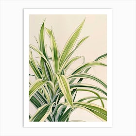 Spider Plant Botanical Line Illustration 1 Art Print
