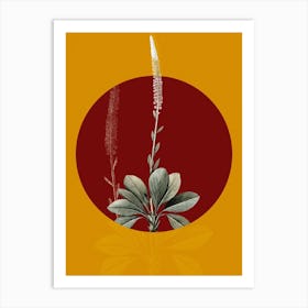 Vintage Botanical Blazing Star on Circle Red on Yellow n.0236 Art Print