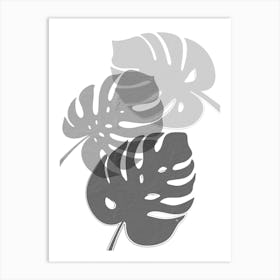 Grey Monstera Leaves Art Print